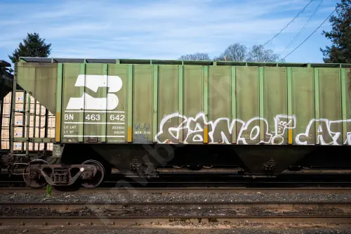 BN463642