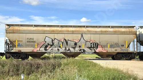 FURX850986
