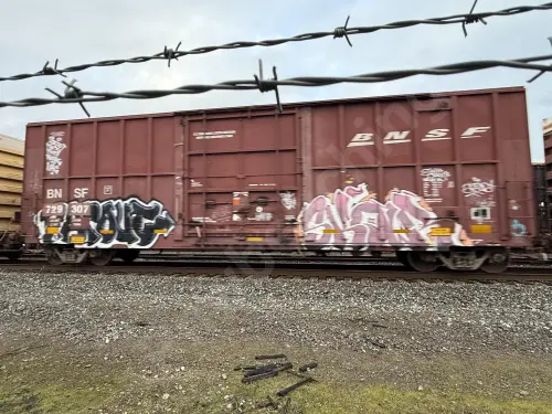 BNSF729307