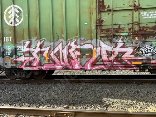 IBT19292