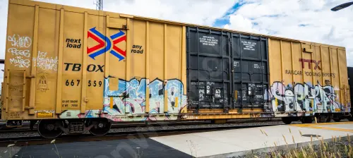 TBOX667559