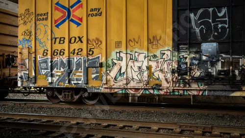 TBOX666425