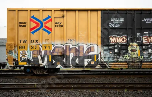 TBOX663771
