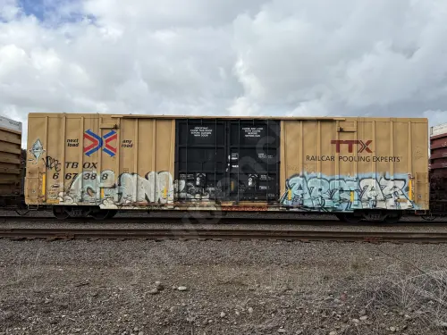 TBOX667388
