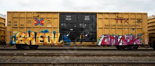 TBOX633833