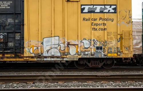 TBOX666724