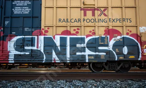 TBOX639426