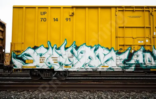 UP701491