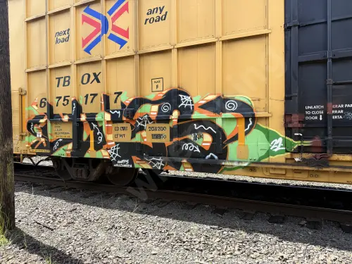TBOX675177