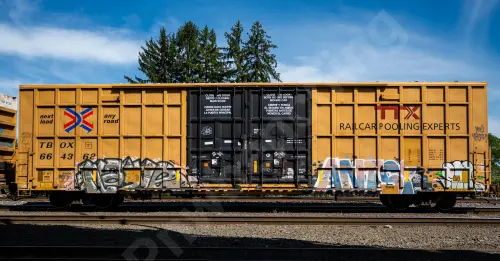 TBOX664362