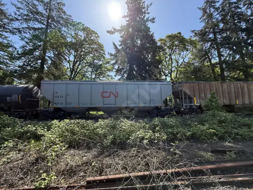 Train photo