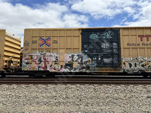FBOX505975