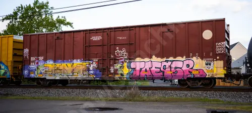 BNSF761395