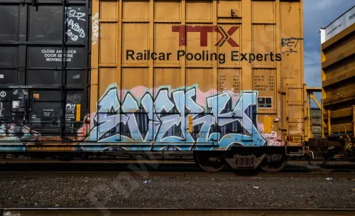 FBOX506415