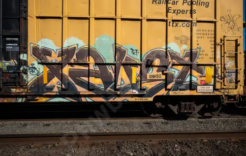 FBOX502006
