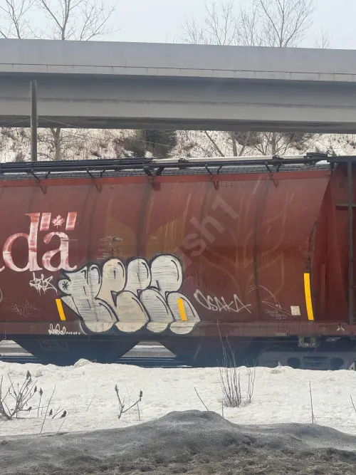 CN109366