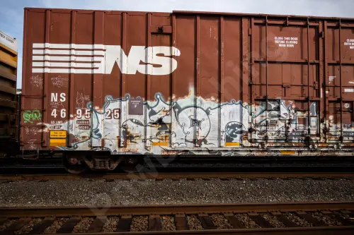 NS469525