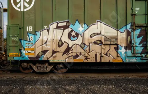 IBT18421