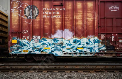 CP218308
