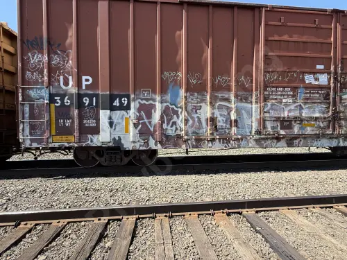 UP369149