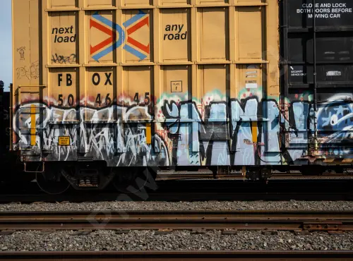 FBOX504645