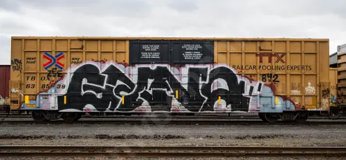 TBOX638539
