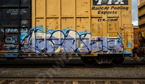 FBOX505054