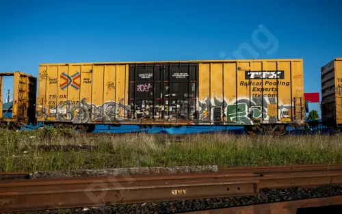 TBOX660237