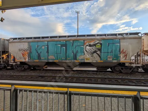 Train photo