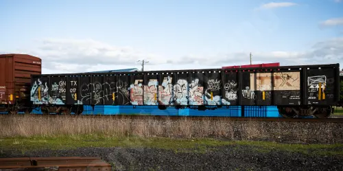 GNTX290017