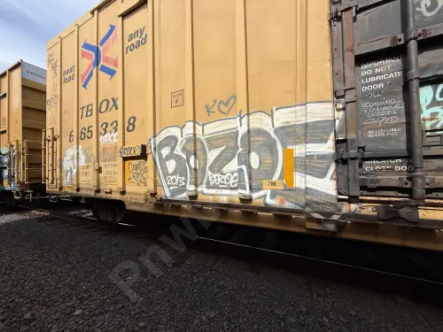 TBOX665338