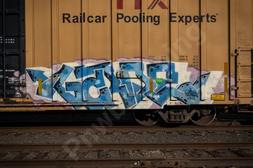 TBOX663695