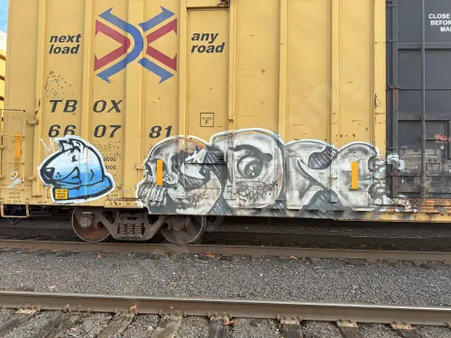 TBOX660781