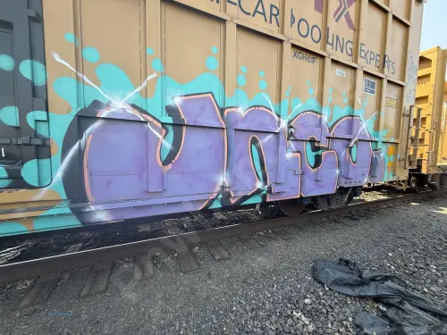 TBOX636211