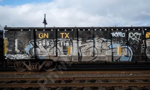 GNTX295116