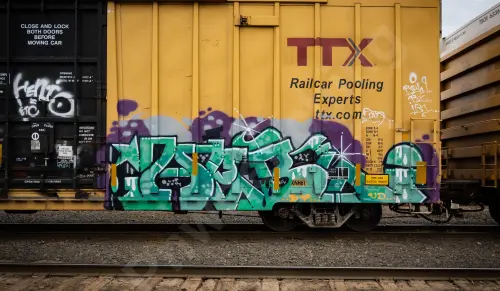 TBOX666477