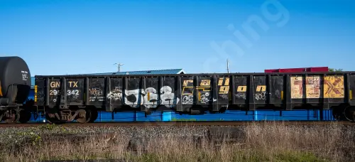 GNTX295342