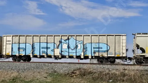 Train photo