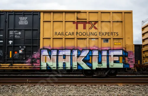 TBOX644959