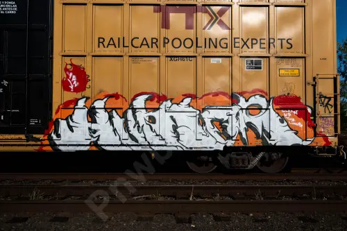 TBOX632736