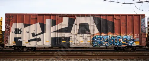 TBOX889506