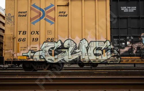 TBOX661926