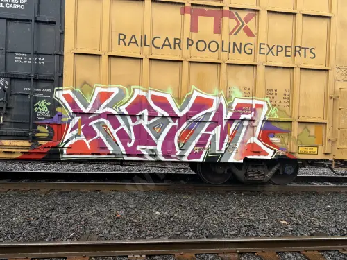 TBOX663842