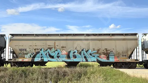 NDYX843666
