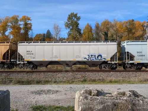 Train photo