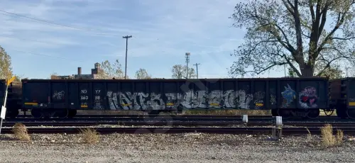 NDYX360118