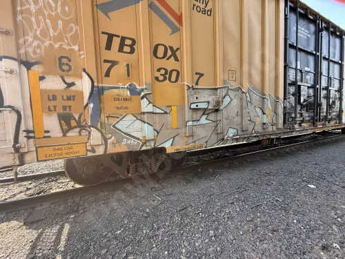 TBOX671307