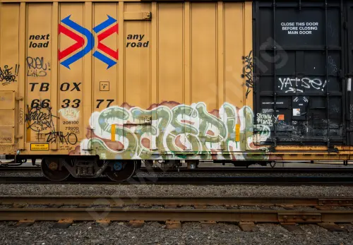 TBOX663377