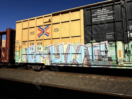 TBOX675142