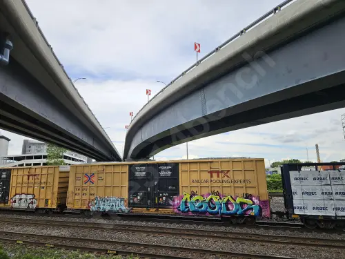 TBOX638568